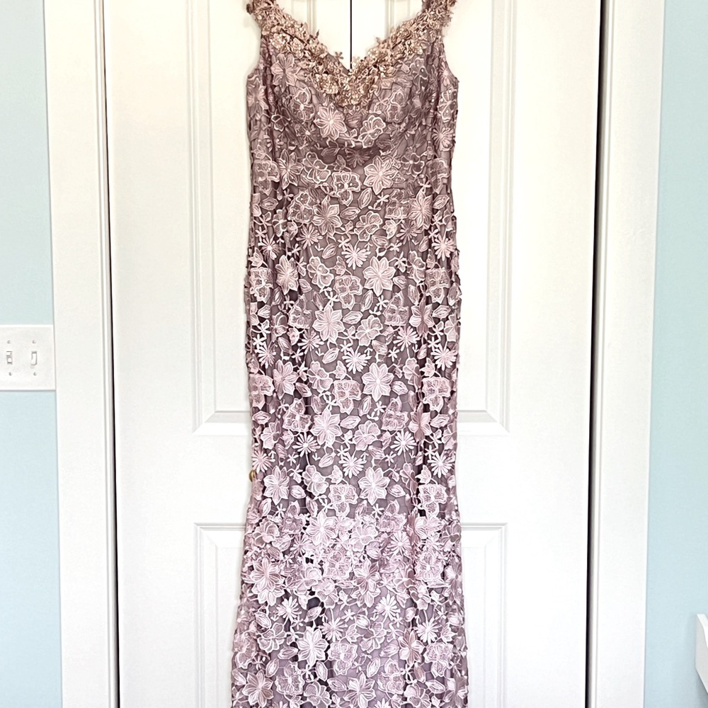 Mother of the Bride Gown - Size 12 Champagne Ombré.  Never Worn/Brand New